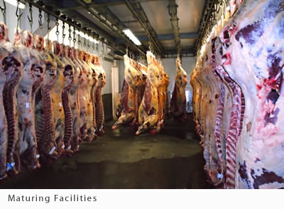 CATERING SUPPLIES - CARCASES MATURING
